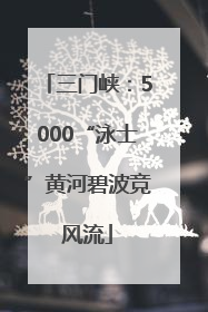 三门峡：5000“泳士”黄河碧波竞风流