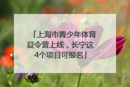 上海市青少年体育夏令营上线，长宁这4个项目可报名