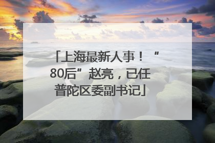 上海最新人事！“80后”赵亮，已任普陀区委副书记