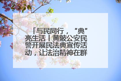 与民同行，“典”亮生活丨黄陂公安民警开展民法典宣传活动，让法治精神在群众心中落地生根