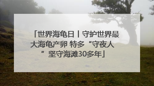世界海龟日丨守护世界最大海龟产卵 特多“守夜人”坚守海滩30多年