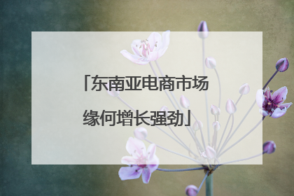 东南亚电商市场缘何增长强劲