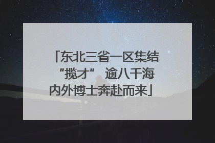 东北三省一区集结“揽才” 逾八千海内外博士奔赴而来