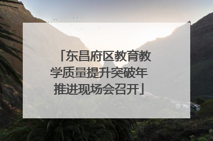 东昌府区教育教学质量提升突破年推进现场会召开