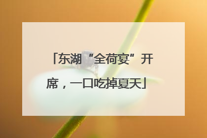 东湖“全荷宴”开席，一口吃掉夏天