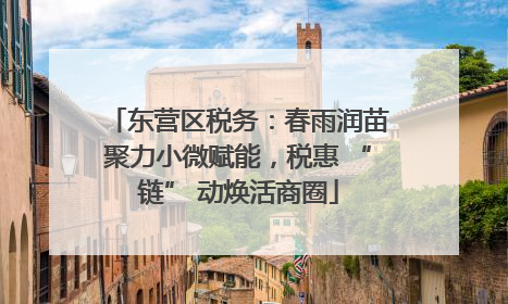 东营区税务：春雨润苗聚力小微赋能，税惠 “链” 动焕活商圈