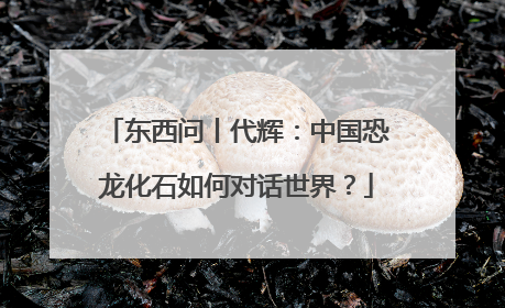 东西问丨代辉：中国恐龙化石如何对话世界？