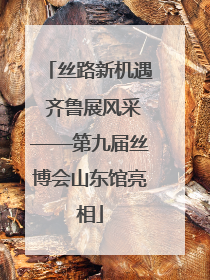 丝路新机遇 齐鲁展风采——第九届丝博会山东馆亮相