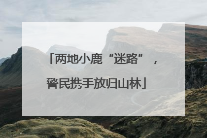 两地小鹿“迷路”，警民携手放归山林