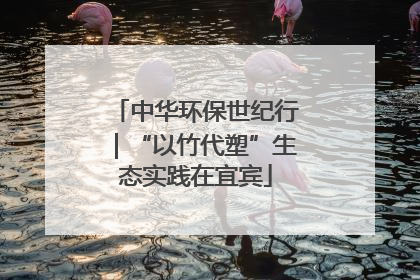 中华环保世纪行｜“以竹代塑”生态实践在宜宾