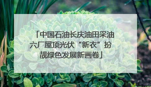 中国石油长庆油田采油六厂屋顶光伏“新衣”扮靓绿色发展新画卷