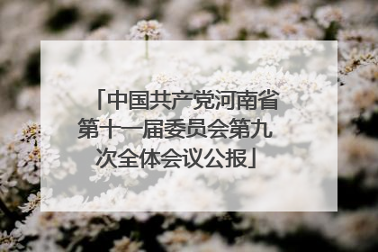 中国共产党河南省第十一届委员会第九次全体会议公报