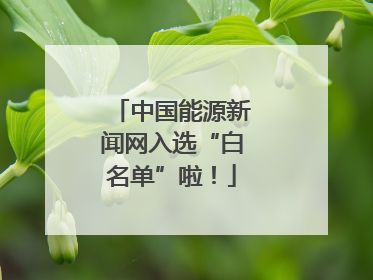 中国能源新闻网入选“白名单”啦！