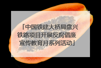 中国铁建大桥局盘兴铁路项目开展反腐倡廉宣传教育月系列活动