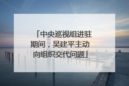 中央巡视组进驻期间，吴建平主动向组织交代问题