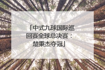 中式九球国际巡回赛全球总决赛：楚秉杰夺冠