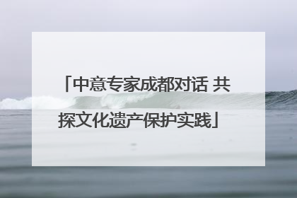 中意专家成都对话 共探文化遗产保护实践