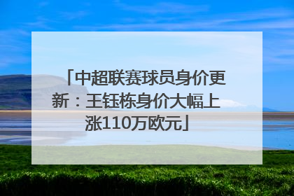 中超联赛球员身价更新：王钰栋身价大幅上涨110万欧元