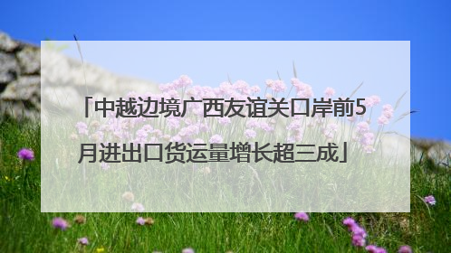 中越边境广西友谊关口岸前5月进出口货运量增长超三成