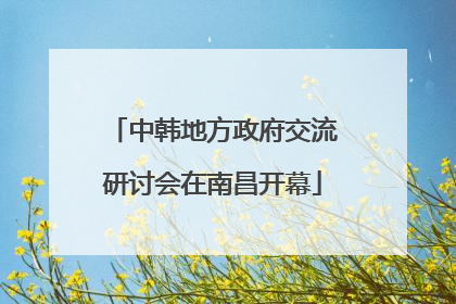 中韩地方政府交流研讨会在南昌开幕