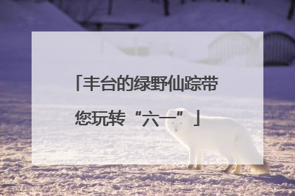 丰台的绿野仙踪带您玩转“六一”