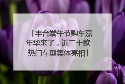 丰台端午节购车嘉年华来了，近二十款热门车型集体亮相