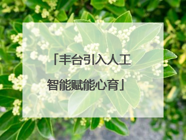 丰台引入人工智能赋能心育