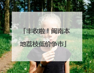 丰收啦！闽南本地荔枝低价争市