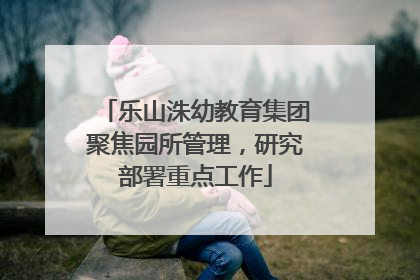 乐山洙幼教育集团聚焦园所管理，研究部署重点工作