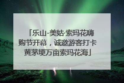 乐山-美姑·索玛花嗨购节开幕，诚邀游客打卡黄茅埂万亩索玛花海