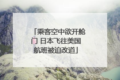 乘客空中欲开舱门 日本飞往美国航班被迫改道
