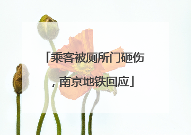 乘客被厕所门砸伤，南京地铁回应