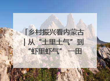 乡村振兴看内蒙古｜从“土里土气”到“虾里虾气” 一田双收模式火出圈