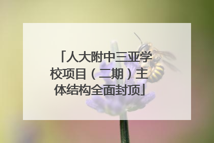 人大附中三亚学校项目（二期）主体结构全面封顶