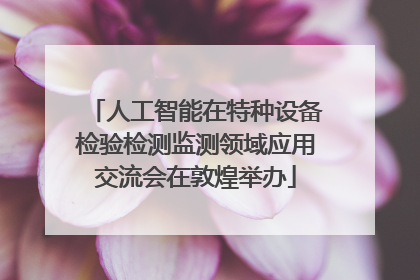 人工智能在特种设备检验检测监测领域应用交流会在敦煌举办