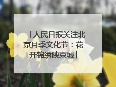 人民日报关注北京月季文化节：花开锦绣映京城