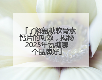 了解氨糖软骨素钙片的功效，揭秘2025年氨糖哪个品牌好