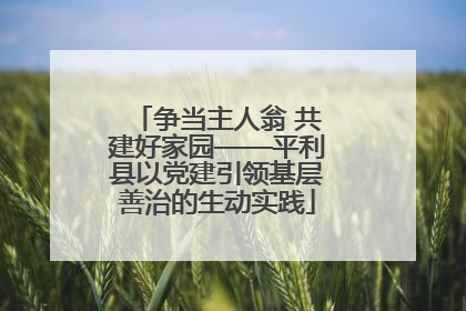 争当主人翁 共建好家园——平利县以党建引领基层善治的生动实践