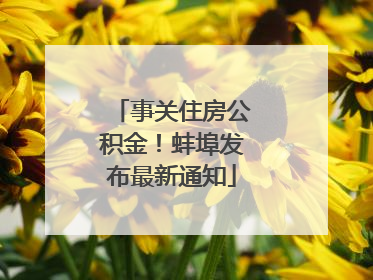 事关住房公积金！蚌埠发布最新通知