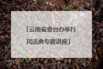 云南省委台办举行民法典专题讲座