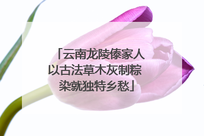 云南龙陵傣家人以古法草木灰制粽 染就独特乡愁