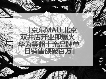京东MALL北京双井店开业即爆火 华为等超十余品牌单日销售额破百万