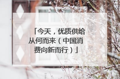 今天，优质供给从何而来（中国消费向新而行）
