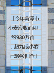 今年菏泽市小麦应收面积约930万亩，超九成小麦已颗粒归仓