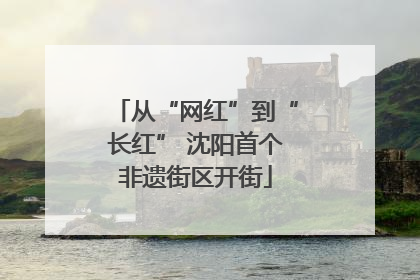 从“网红”到“长红” 沈阳首个非遗街区开街