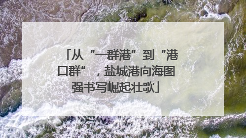 从“一群港”到“港口群”，盐城港向海图强书写崛起壮歌