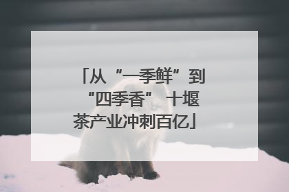 从“一季鲜”到“四季香” 十堰茶产业冲刺百亿