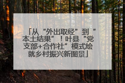 从“外出取经”到“本土结果”！叶县“党支部+合作社”模式绘就乡村振兴新图景