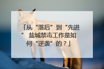 从“落后”到“先进” 盐城禁毒工作是如何“逆袭”的？