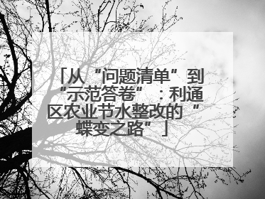从“问题清单”到“示范答卷”：利通区农业节水整改的“蝶变之路”